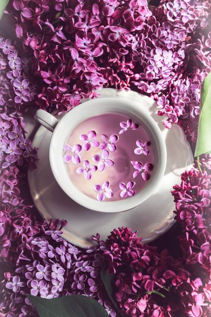 Delicate lavender flowers surround a white cup in a serene, top-down composition.