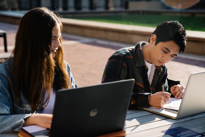 Two students studying together outdoors with laptops and notebooks