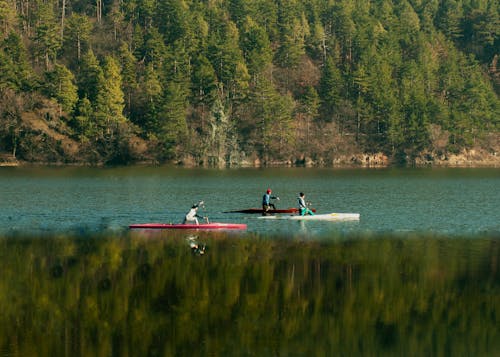 People Kayaking in the Lake
