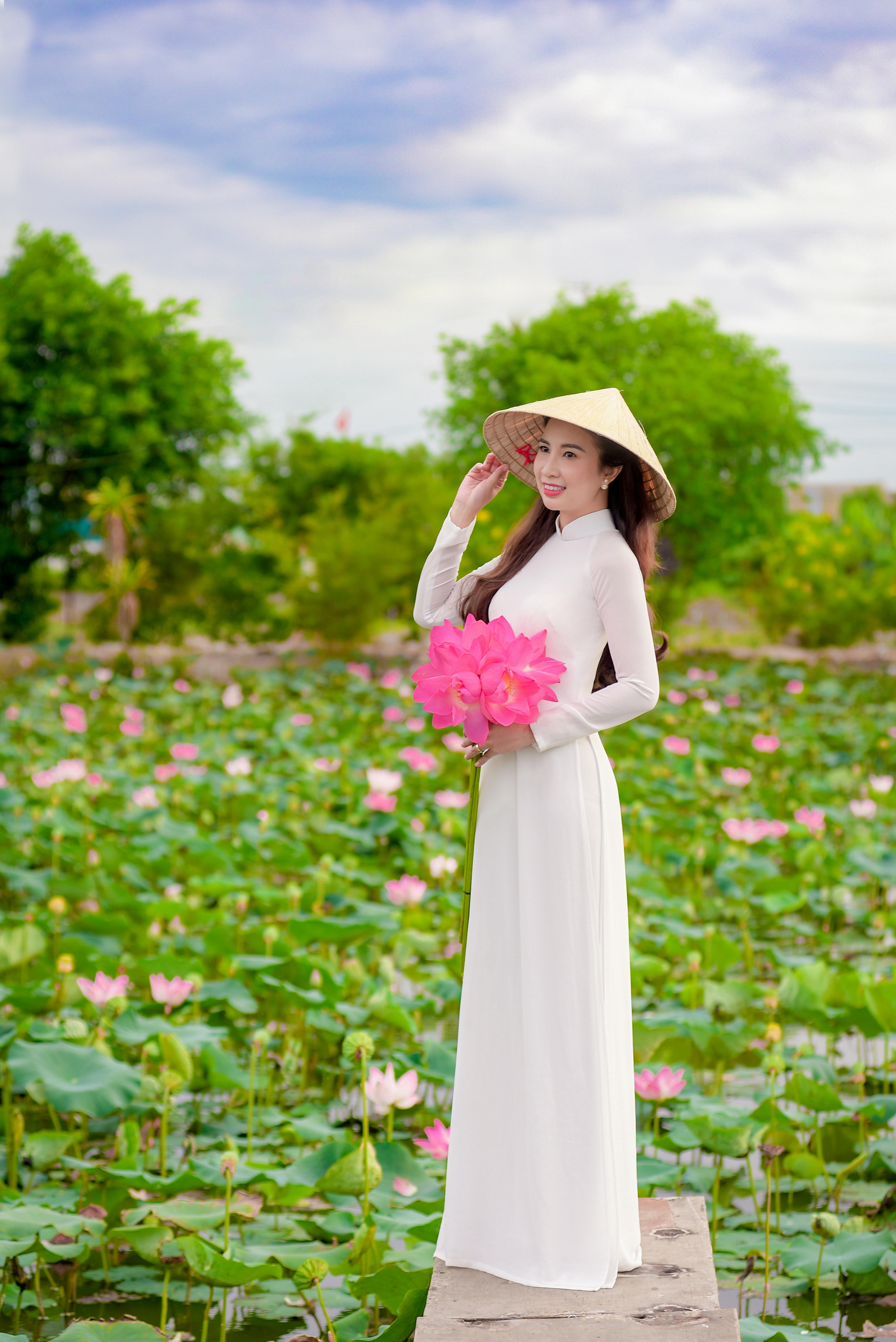 Lilly Photos Download The BEST Free Lilly Stock Photos HD Images Lilly Photos Download The BEST Free Lilly Stock Photos HD Images