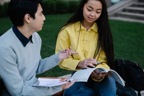 Free Two students engage in outdoor study session with textbooks and notes. Stock Photo