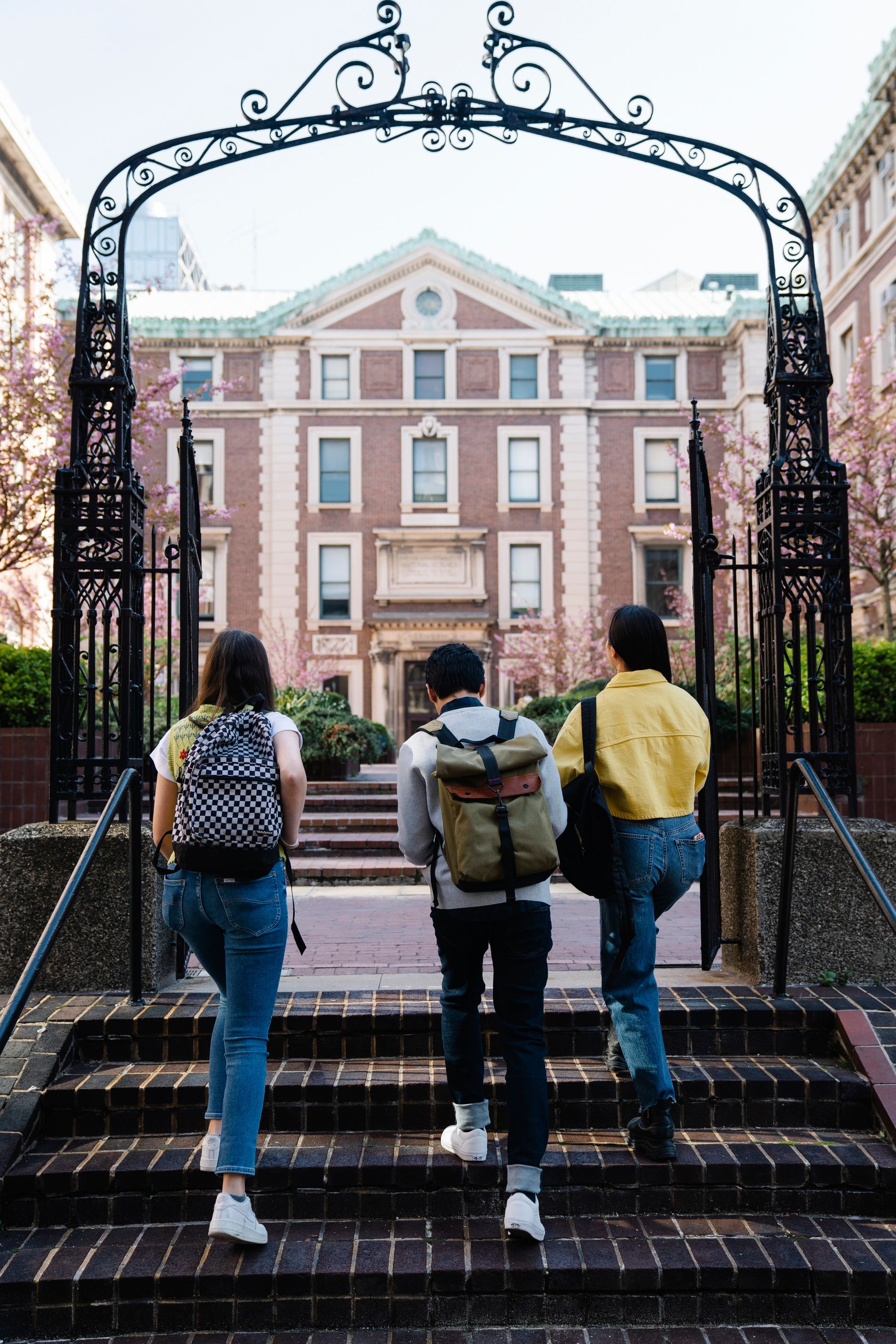 Students at university