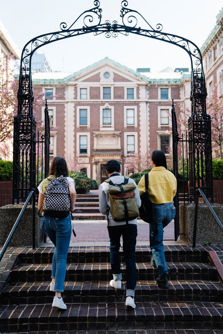 Back View Of People Walking Into A Campus