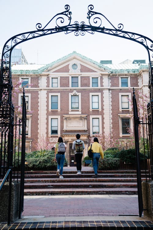 Free Back View of Students Walking in a Campus Stock Photo