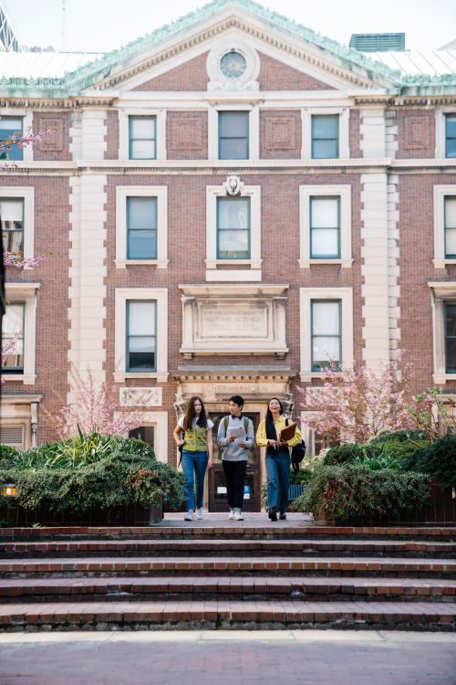 Free A diverse group of students walking on a university campus in spring. Stock Photo