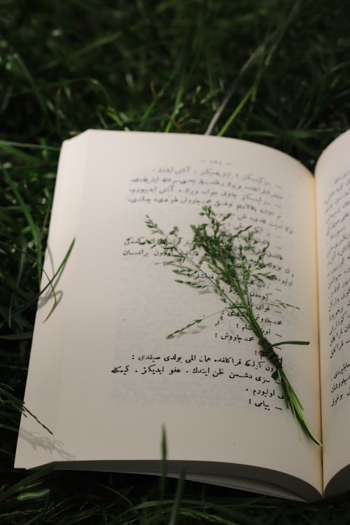 Free Open Arabic book placed on a grass field with small plant serving as bookmark, depicting nature and literature connection. Stock Photo