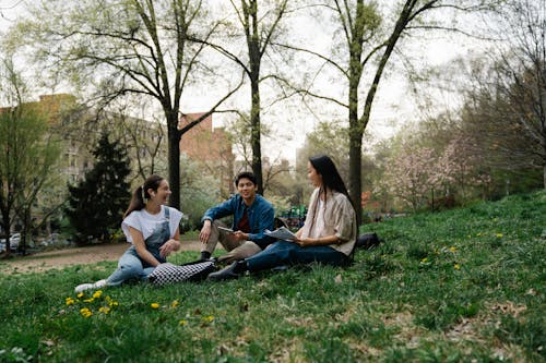 A Group of Friends Talking while Sitting on the Grass
