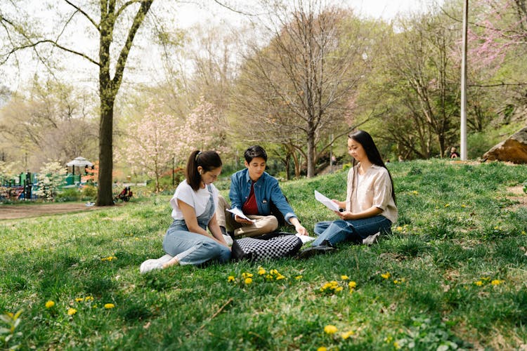 Students Sitting On Grass In A Park In Spring