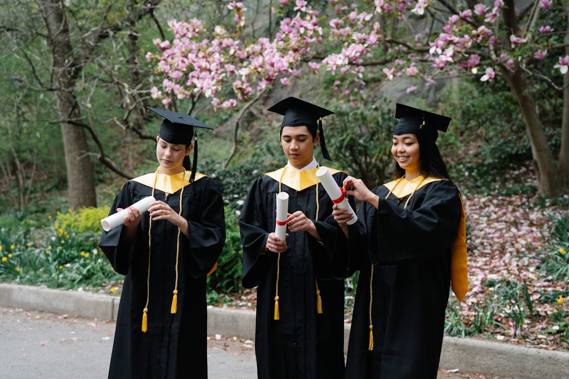 Free Students in Graduation Gowns and Hats Unfolding Certificates and Magnolia in Background Stock Photo