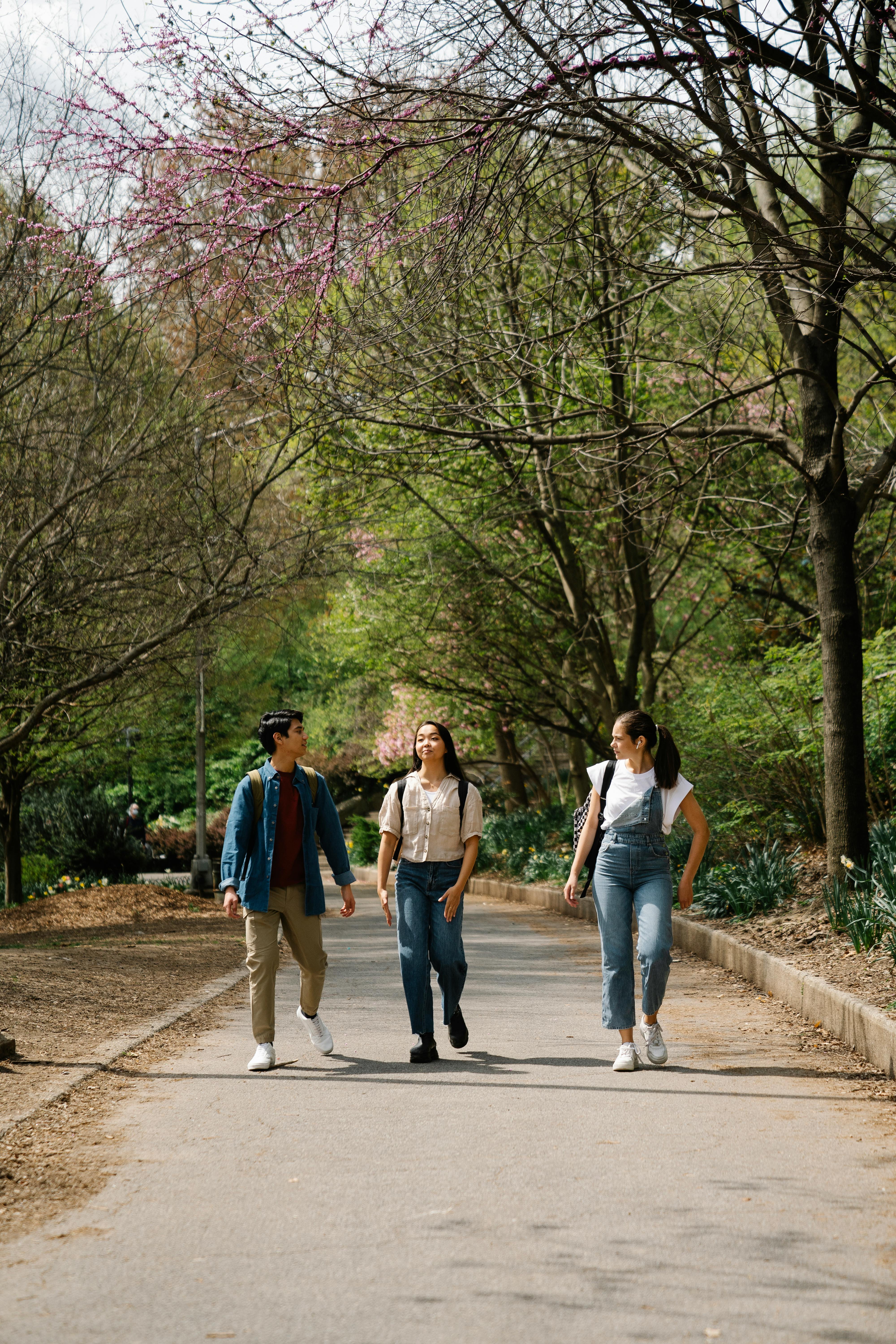 photo of a group of friends walking on a pathway