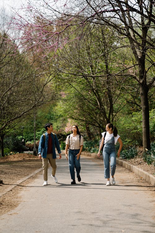 Photo of a Group of Friends Walking on a Pathway