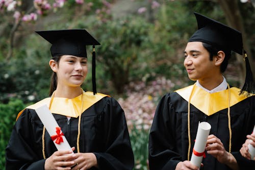 Photograph of People's Hands Holding White Diplomas · Free Stock Photo