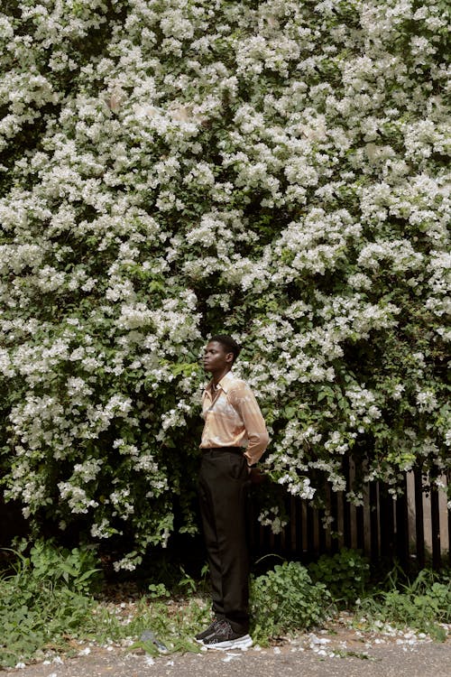 Free Black person standing near blooming tree in garden Stock Photo