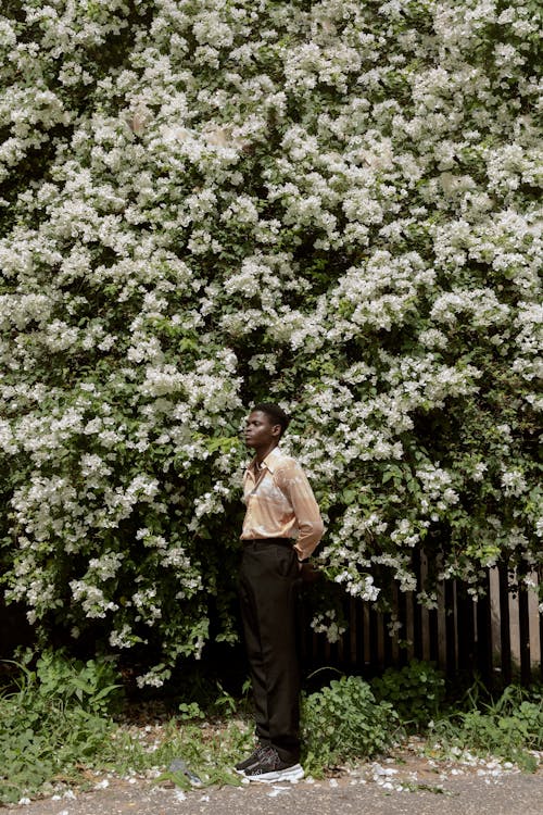 Black person standing near blooming tree in garden