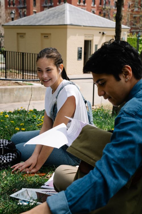 Free Captivating image of students studying on a campus lawn, enjoying a sunny day outdoors. Stock Photo