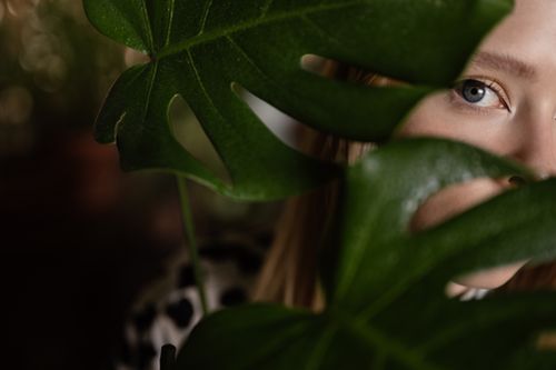 Free Close-up of a woman's eye partially obscured by a monstera leaf, creating a mysterious atmosphere. Stock Photo