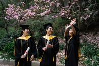 Woman in Black Academic Dress Standing Under Pink Cherry Blossom Tree