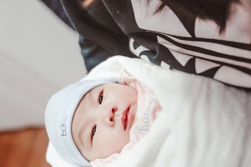Free Cute Asian baby swaddled in soft blanket Stock Photo