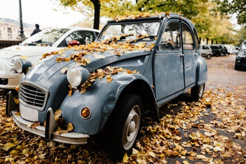 Photos gratuites de automne, automobile, classique