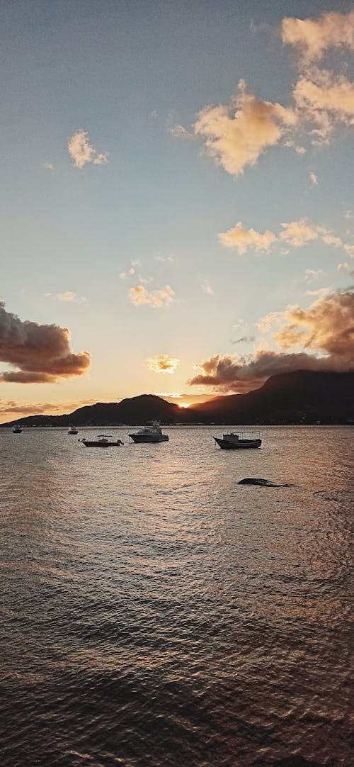 Photos gratuites de coucher de soleil sur la plage, océan, plage