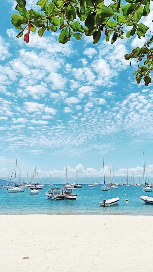 Free stock photo of beach, blue, boat