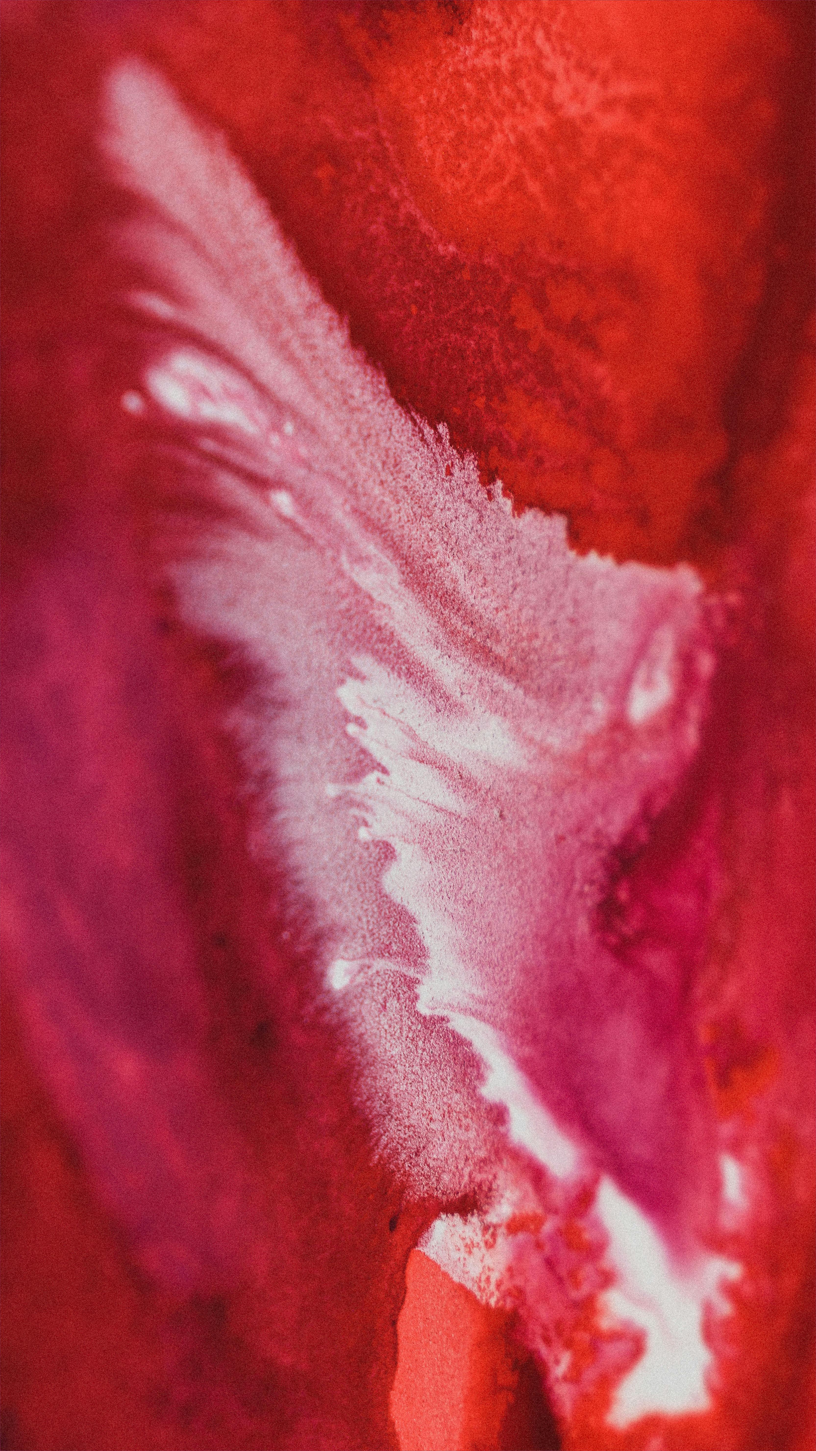 Hyrule Warriors Age of Imprisonment Gets Mixed Reviews But Best Combat In Series 3 Person gaming on console with immersive controller experience