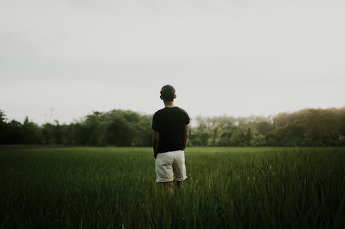Free Anonymous man standing in field Stock Photo