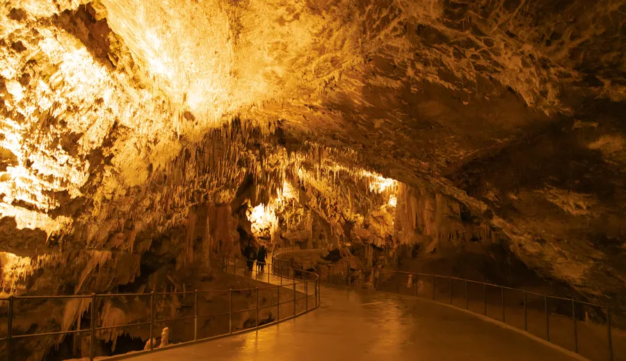 Grottes de Postojna