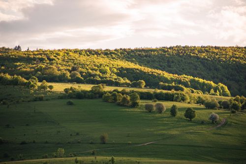 Free Explore the serene green hills of Valea Seacă, Romania with lush vegetation and rolling landscapes. Stock Photo