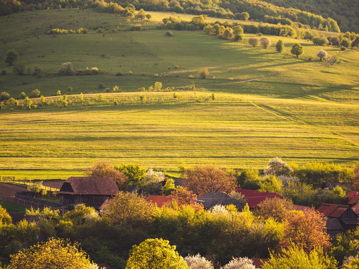 6 Day Serene Sleep Recovery Retreat in Oradea, Romania 1