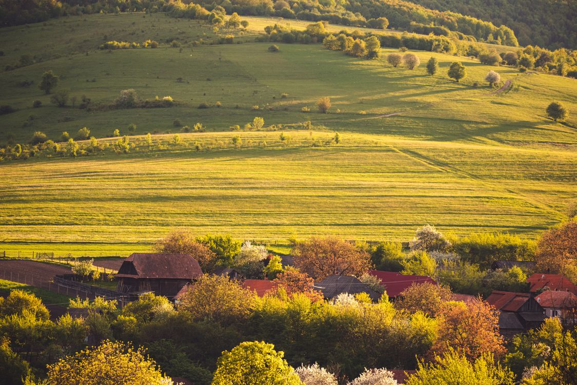 Free Beautiful countryside landscape in Valea Seacă, Romania with vibrant fields and trees. Stock Photo