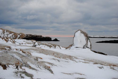 Immagine gratuita di coperto di neve, freddo, gelo