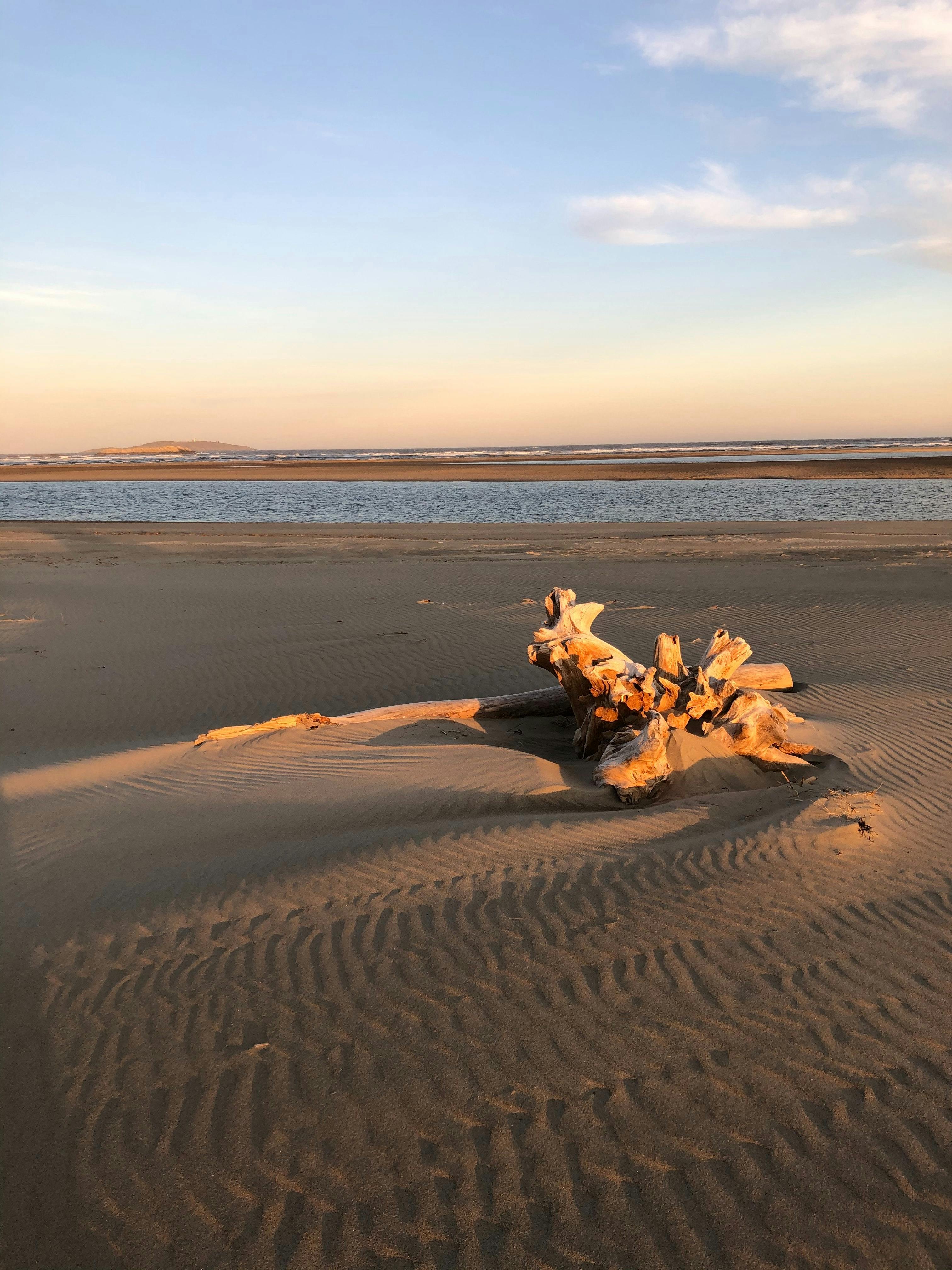 工作人员在电脑前使用文档比对软件分析合同差异