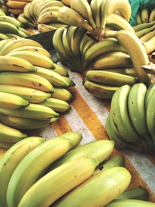 Close-Up Photo of a Bunch of Unripe Bananas