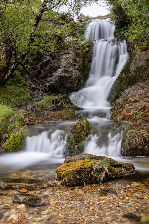 Foto d'estoc gratuïta de bosc, cascada, en cascada