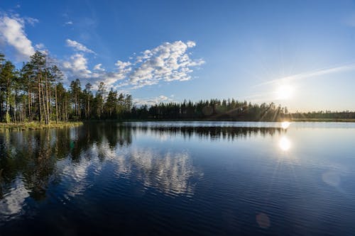 Free Scenic View of Trees near the Lake Stock Photo