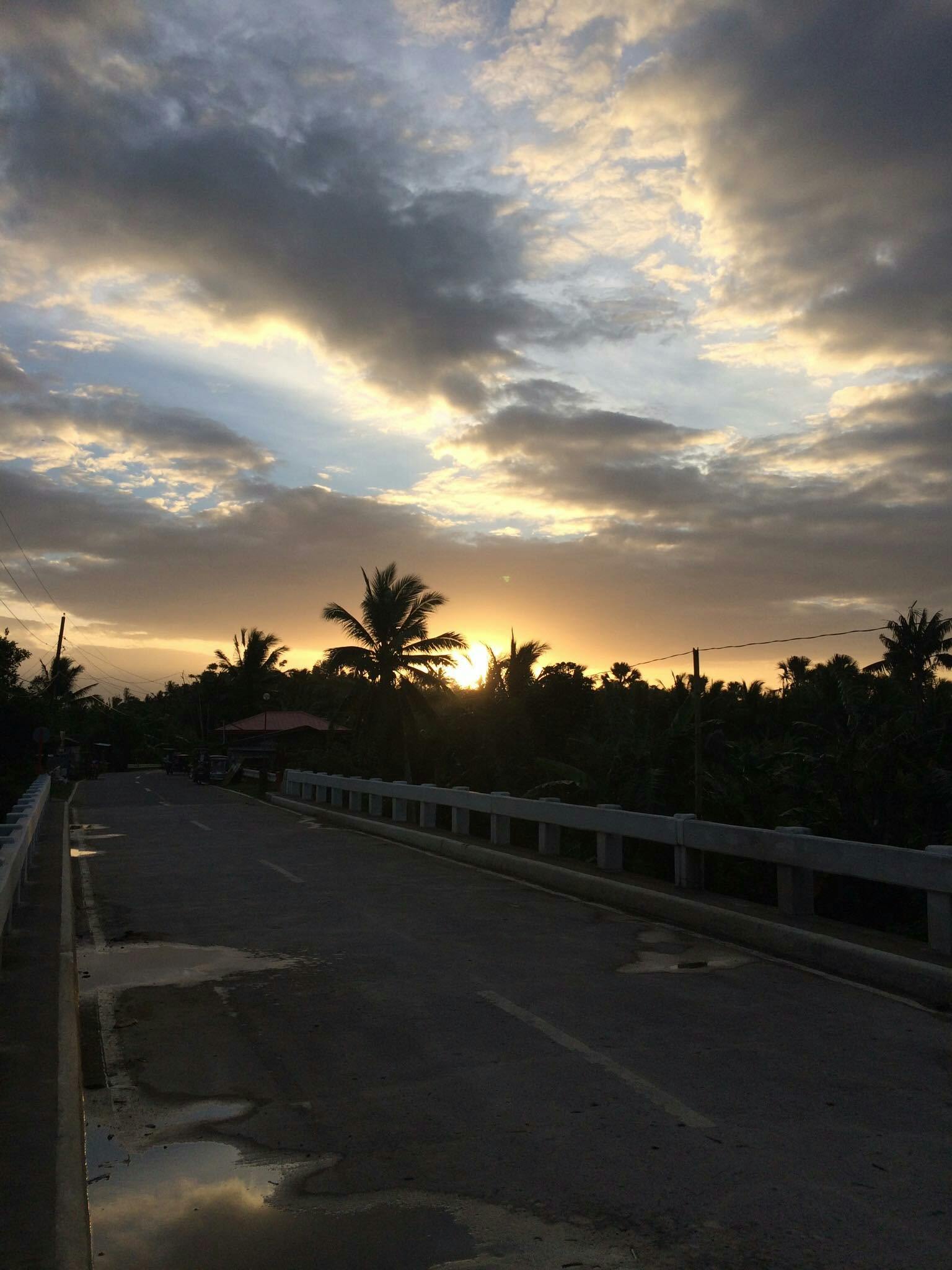 Free stock photo of Coconut farm Tan-ag Lopez Quezon - 563 x 750 jpeg 36kB