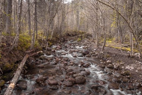Free A tranquil stream flows through a rocky forest in Stoneham-et-Tewkesbury, Canada. Stock Photo