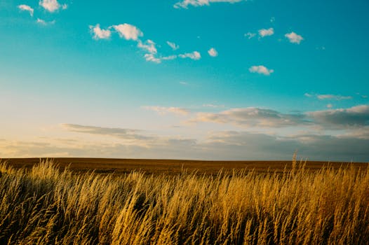 Free stock photo of nature, sky, field, countryside