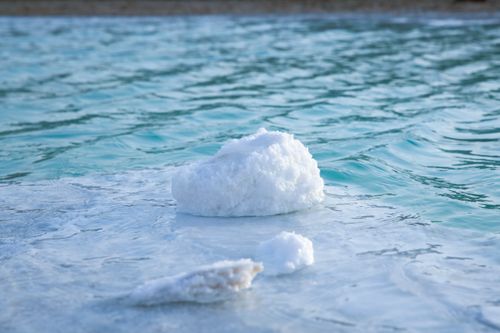 Free Close-up of natural salt formations emerging from the sea in Abu Dhabi, United Arab Emirates. Stock Photo
