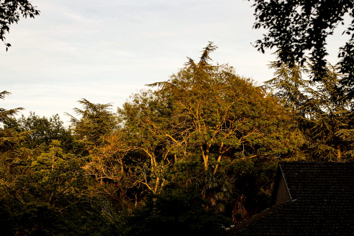Aerial view of a flooded residential area with submerged streets