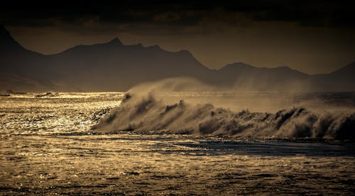 Gratis lagerfoto af bølger, hav, stærk