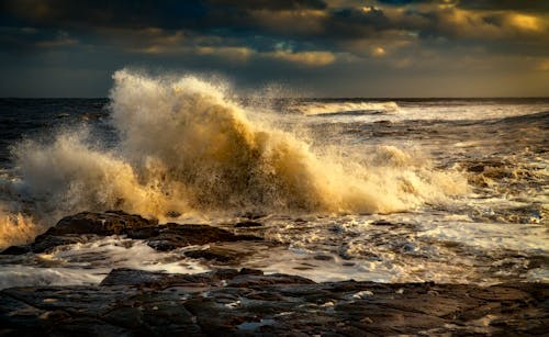 Foto d'estoc gratuïta de aigua, estavellant, mar