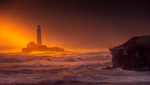 Základová fotografie zdarma na téma Anglie, maják st marys, mávání