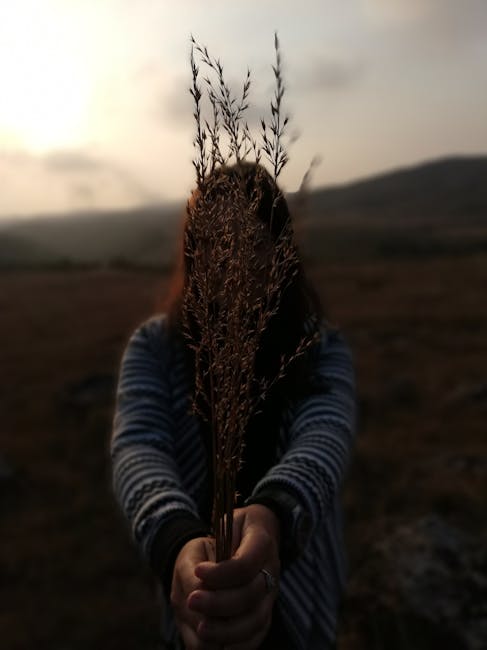 Woman Wearing Gray Long-sleeved Top Holding Brown Plant