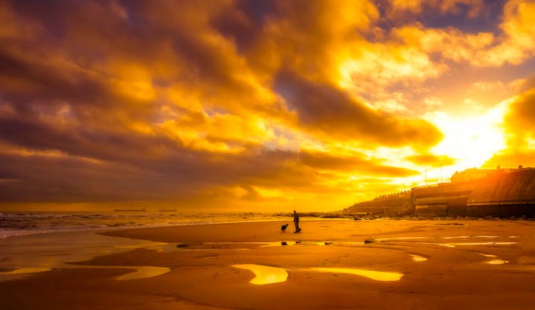 Silhouette Of Person And Dog Standing On A Beach During Sunset