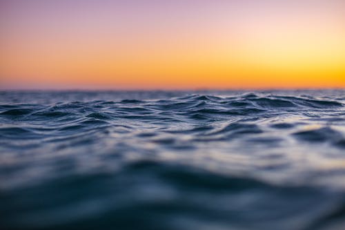 免费 日落, 水體, 蓝色的海洋 的 免费素材图片 素材图片