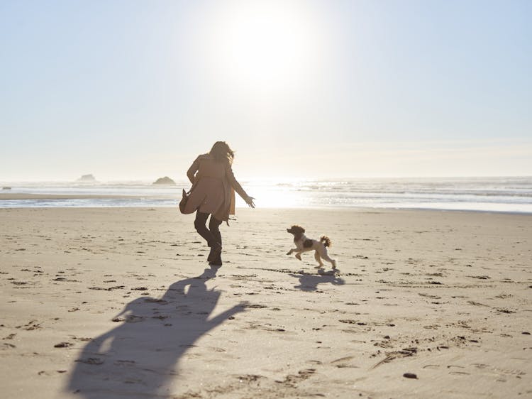 Woman And A Dog Running On Beach 