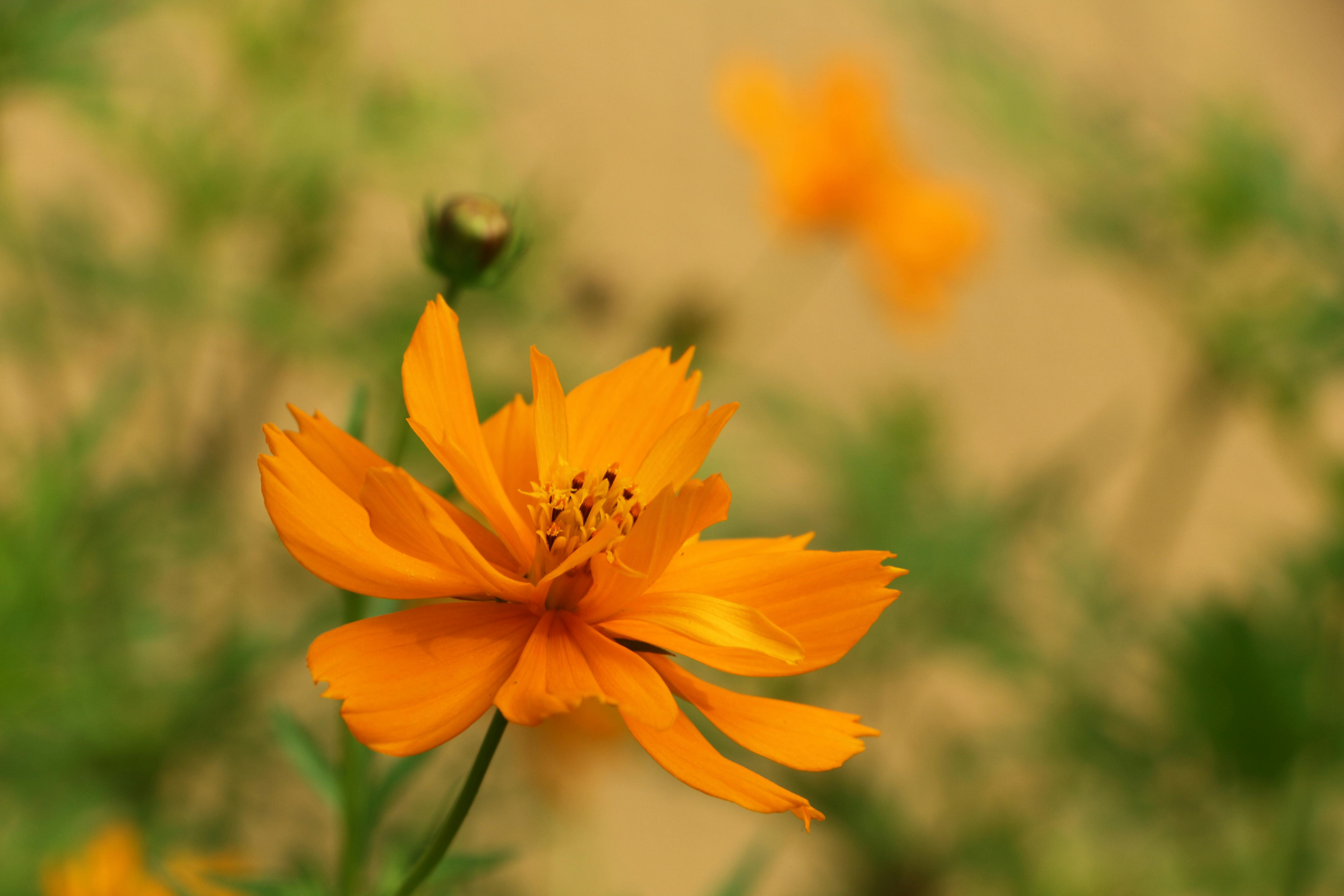British flag hanging near a historic building representing the UK monarchy and national identity