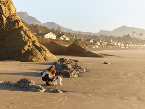 Free Woman Petting a Dog at the Beach Stock Photo